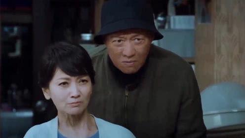 吃瓜故事电视剧免费观看,揭秘娱乐圈幕后，免费观看独家剧情  第3张