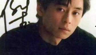 爆料娱乐圈王杰,王杰的真实故事与幕后真相  第1张