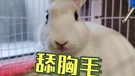 抖音吃瓜网红美女是谁图片,揭秘网络红人的魅力瞬间 第1张 抖音吃瓜网红美女是谁图片,揭秘网络红人的魅力瞬间 第1张